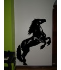 Wild horse, vinyl wall stickers.