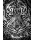 Tiger head ready to print and engrave PNG file.