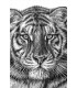 Tiger head ready to print or engrave file.