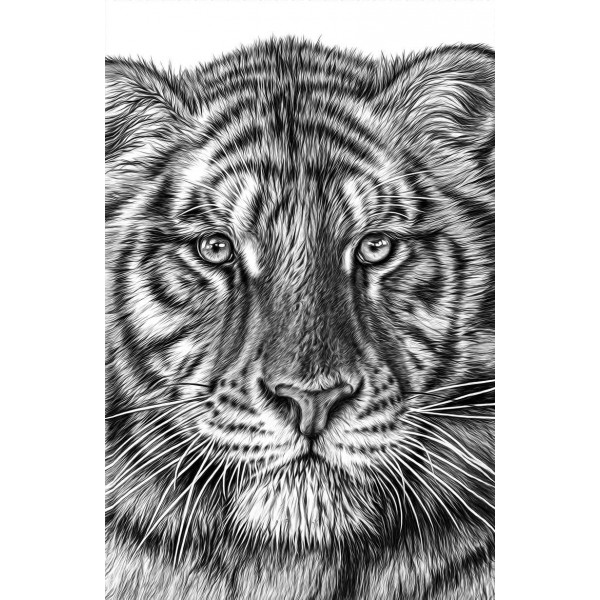 Tiger head ready to print or engrave file.