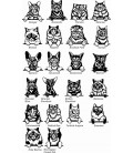 Cats breeds CDR vector file download.